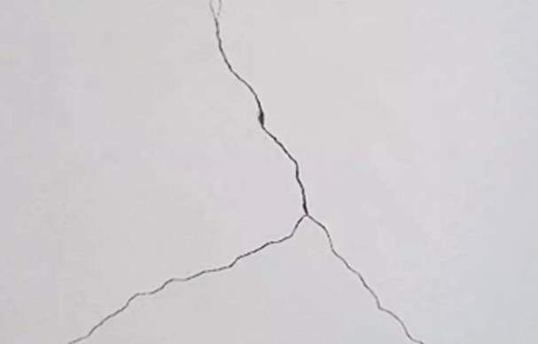 1688088919504901.jpg